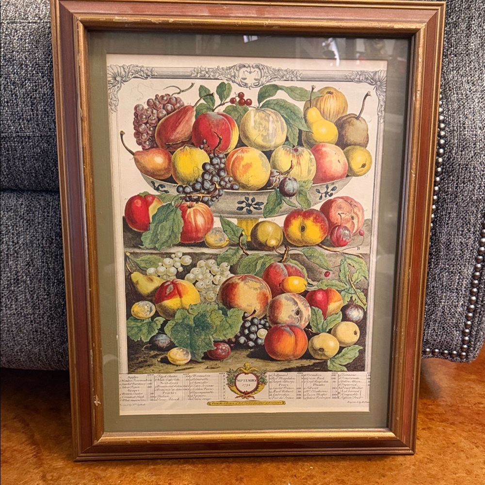 Framed Vintage Fruit Print
